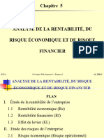 Chapitre 5 - Analyse de La Rentabilité, Du Risque Économique Et Du Risque Financier