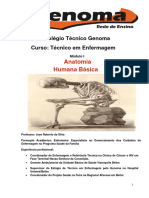 APOSTILA_ANATOMIA_HUMANA