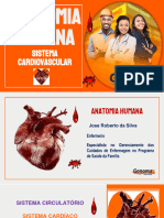 CARDIOVASCULAR_AULA_7_ANATOMIA