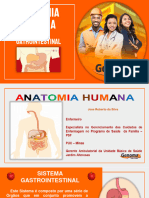 Gastrointestinal Aula 8 Anatomia