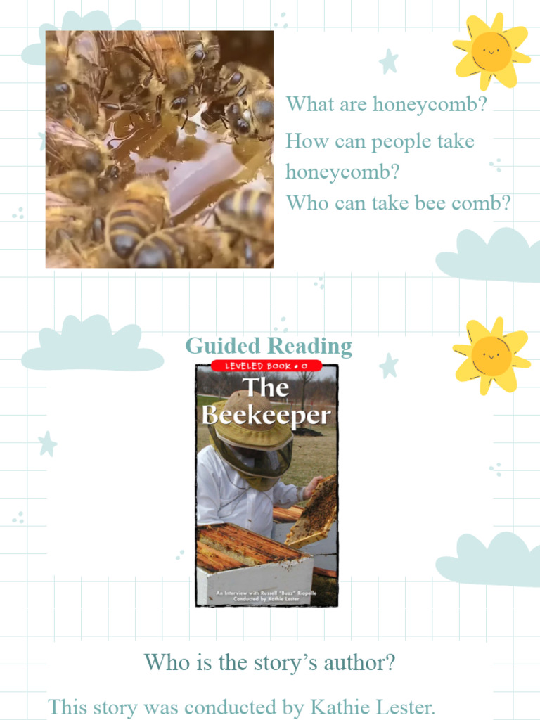 Understanding Honeycomb and Beekeeping | PDF | Home & Garden