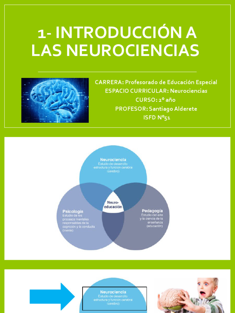 1 - Introducción A Las Neurociencias - 2023 | PDF | Neurociencia | Cerebro