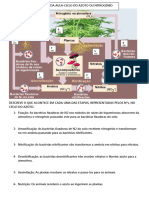 Tarefa Aula - Ciclo Do Azoto 3