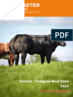 Suckler Pedigree Beef Sires Munster Bovine Icbf Jan Evaluations - 2024