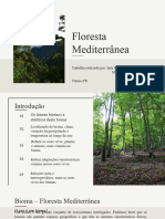 Biomas - Floresta Mediterrânica