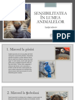 Sensibilitatea În Lumea Animalelor