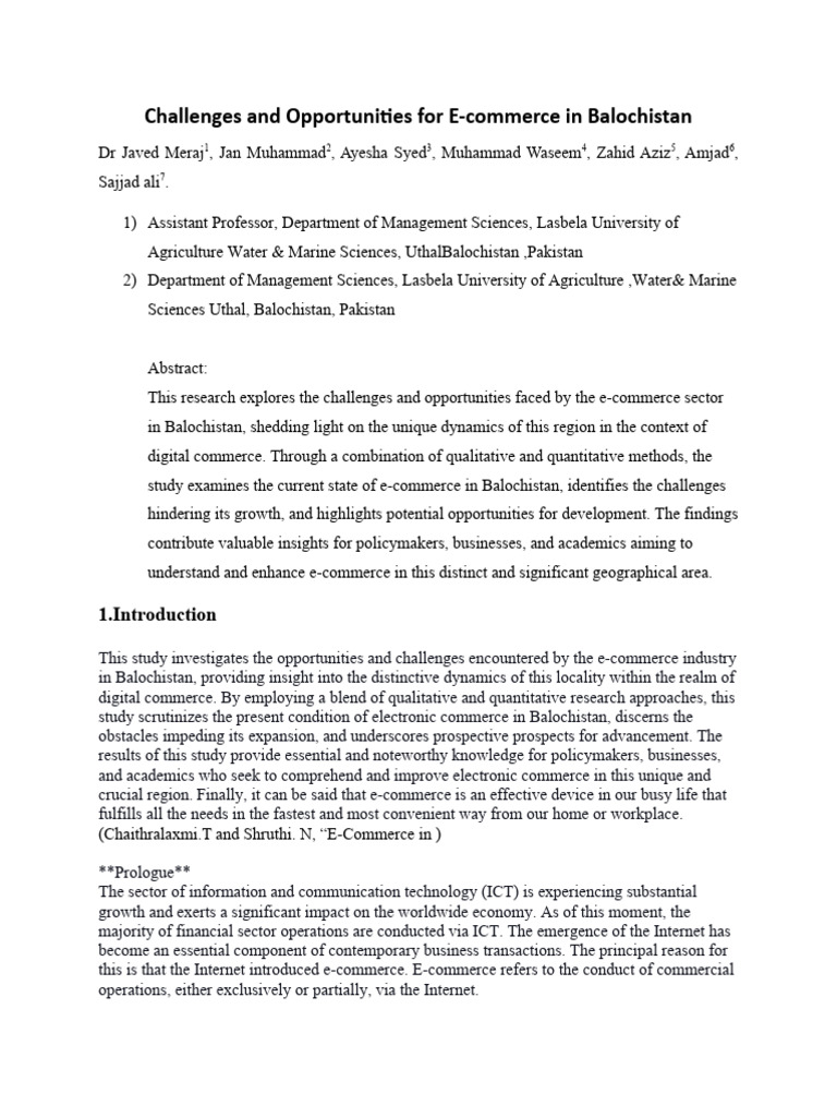 E-commerce Challenges in Balochistan | PDF | E Commerce | Commerce