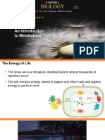 Lecture 3 - An Introduction To Metabolism