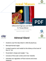 07. Adrenal Mass