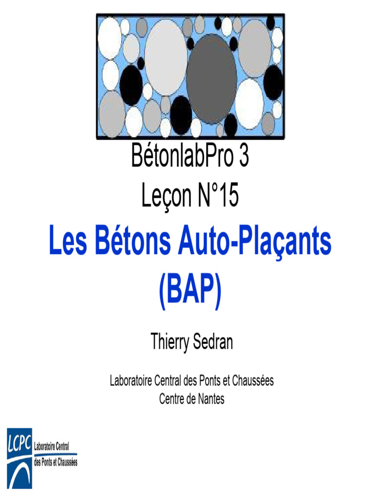 Bétons Auto-Plaçants : Guide Complet | PDF | Béton