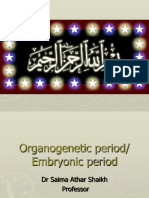 Embryonic Period Folding of Embryo