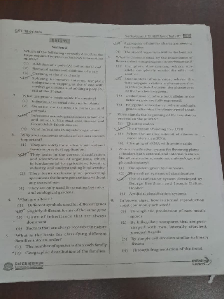 Wa0026. | PDF | Genetic Code | Root