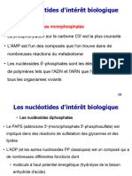 Les Nucléotides D'intérêt Biologique