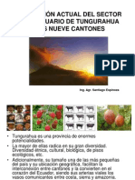 Sector Agropecuario de Tungurahua