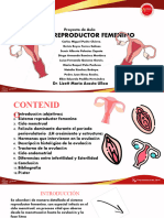 Plantilla Unisinu Power Point (1)-1