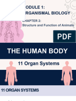 2 Organ Systems Respiratory