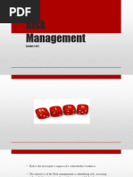 Risk Management Process