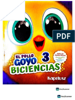 Goyo 3 Pollito Último