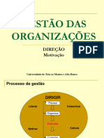 4.direcaomotivacao