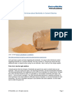 All You Need To Know About Bentonite in Cement Slurries Article Reading Handout