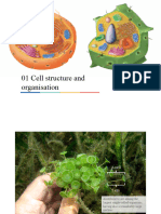 01 Cell Structure and Organisation