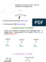 NOTA AMINE 2024