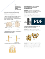 Sistema Articular