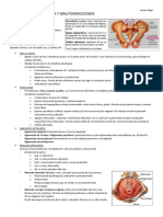 1. Anatomía, embriología y malformaciones ginecologicas