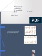 Aplicación Del Desarrollo Normal Del Niño en La Evaluación de La Parálisis Cerebral.