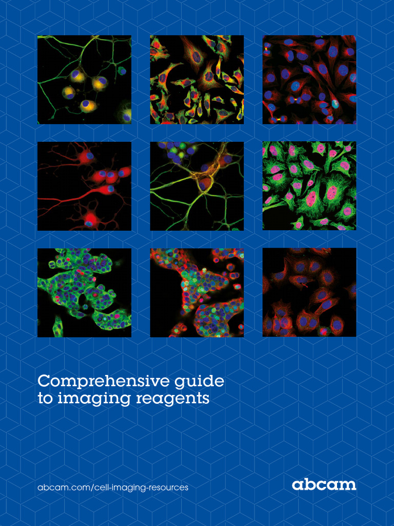 Guide To Imaging Reagents | PDF | Immunofluorescence | Staining