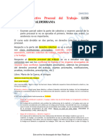 Apuntes de Derecho Colectivo Procesal del Trabajo