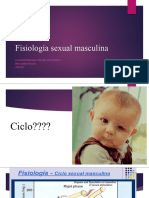 Fisiología Masculina