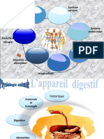 digestion-et-absorption (1)