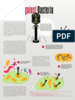 Viruses Against Bacteria