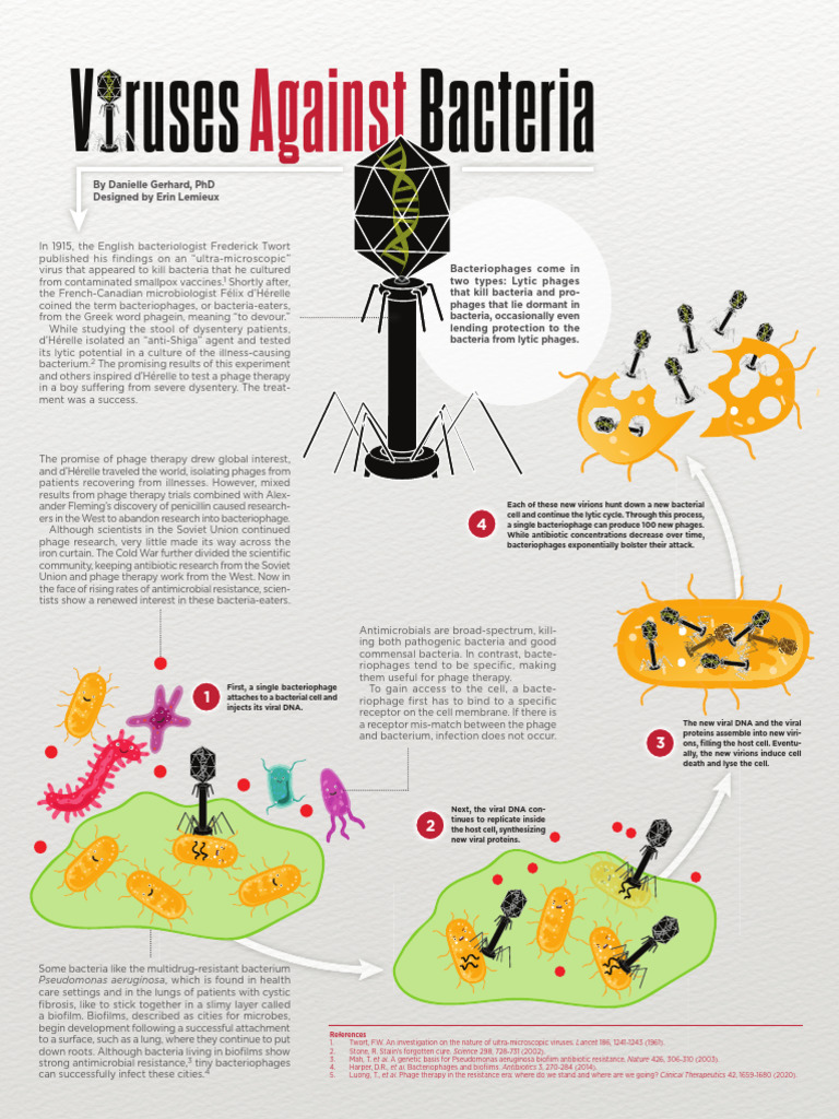 Bacteriophages vs. Antibiotics Explained | PDF | Bacteriophage | Biofilm