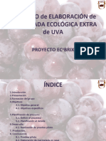 PROYECTO ECOBRIX Definitivo