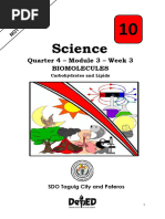 PyBOP: A Safer Peptide Coupling Reagent | PDF | Organic Chemistry ...