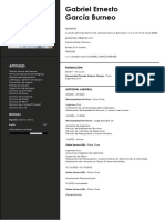 CV Ernesto Garcia Burneo - Prevencionista