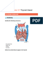 SURGICAL RECALL Thyroid Anatomy 