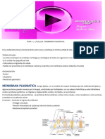 Biologia I La Celula Membrana