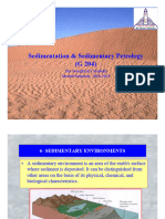 5-Sedimentary Environment-Meandaring