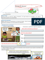 Algunas Practicas para La Conservacion de Los Alimentos