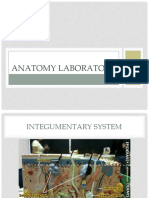 Anatomy and Physiology laboratory-CC-BSN I