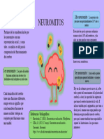 infografia de los neuromitos