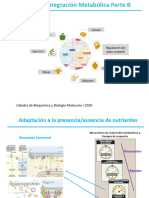 Integración Metabólica Parte B TP10