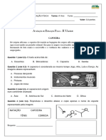 Educação Física 4º Ano