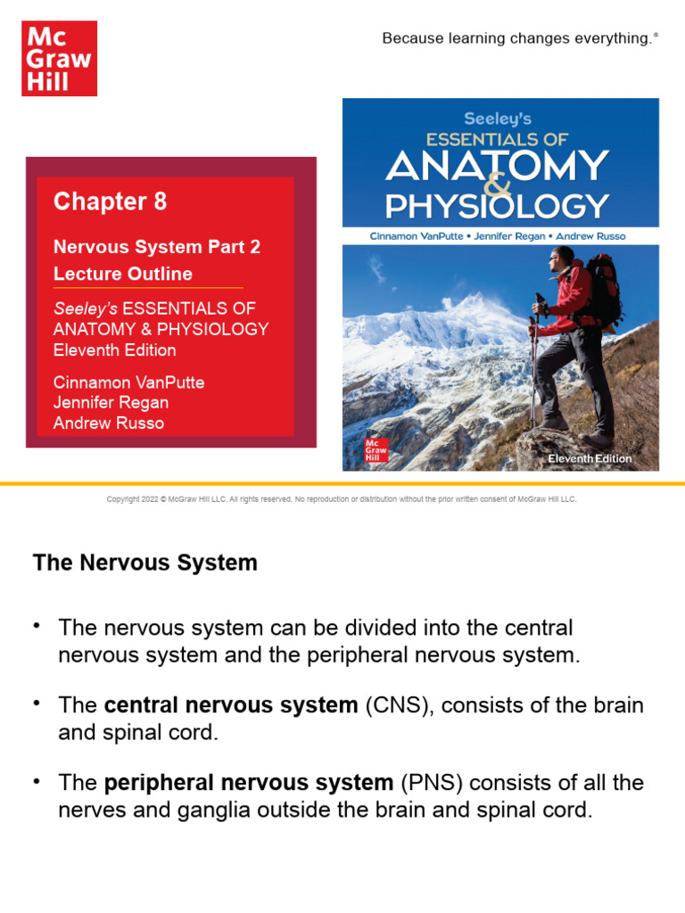 Chapter 8 NS II | PDF | Motor Neuron | Autonomic Nervous System