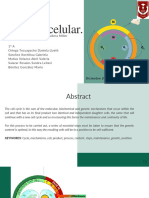El Ciclo Celular.: Dr. Eduardo Felipe Aguilera Miller