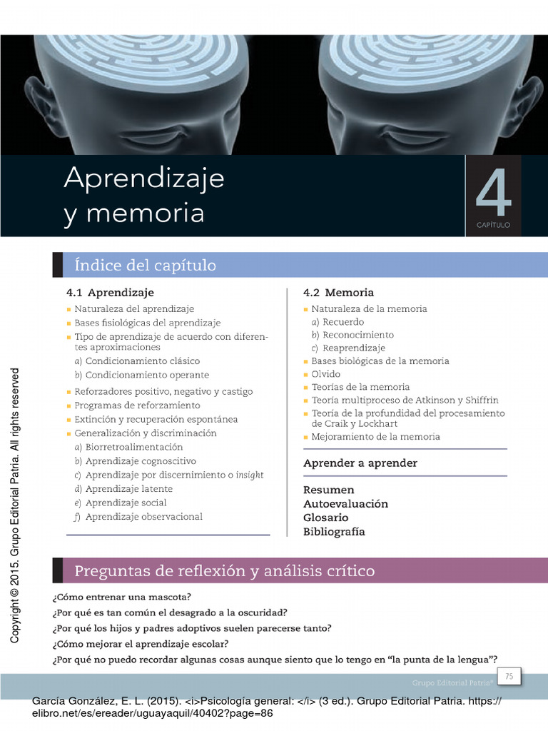 Capítulo 4 Aprendizaje y Memoria | PDF | Sicología | Ciencias del ...