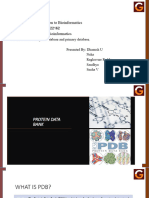 Bioinformatics Database Ppt.pptx (2)
